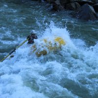 IMG_8352 IMG_8352